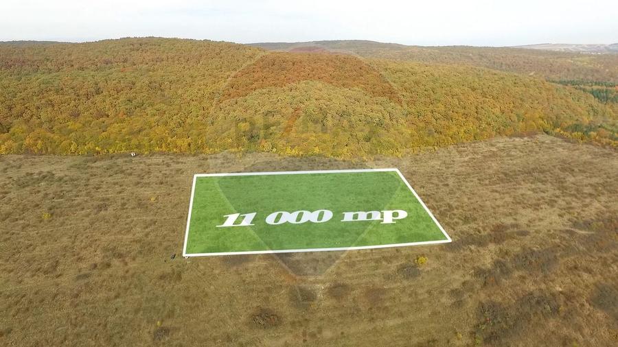 Teren Construcții intravilan de 11000 mp, în Mera