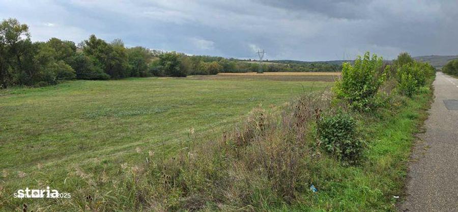 Teren extravilan 5,8 ha - 3