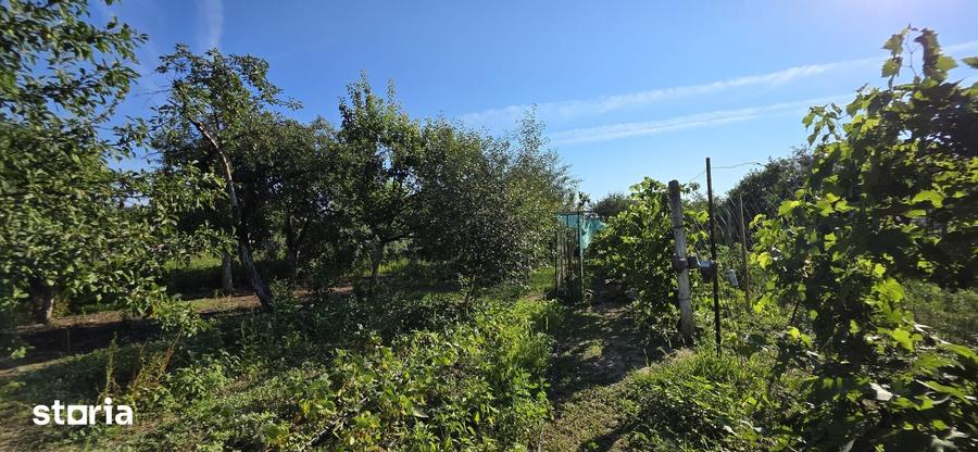 Casă cu 3 camere cu Teren 1500 Mp în Sălard