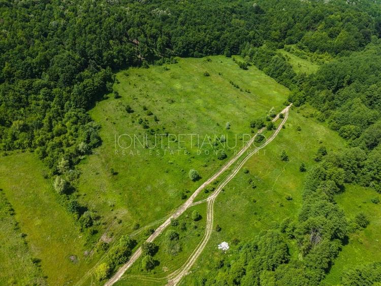 Teren agricol extravilan de 5500 mp, în Valea Mare-Podgoria
