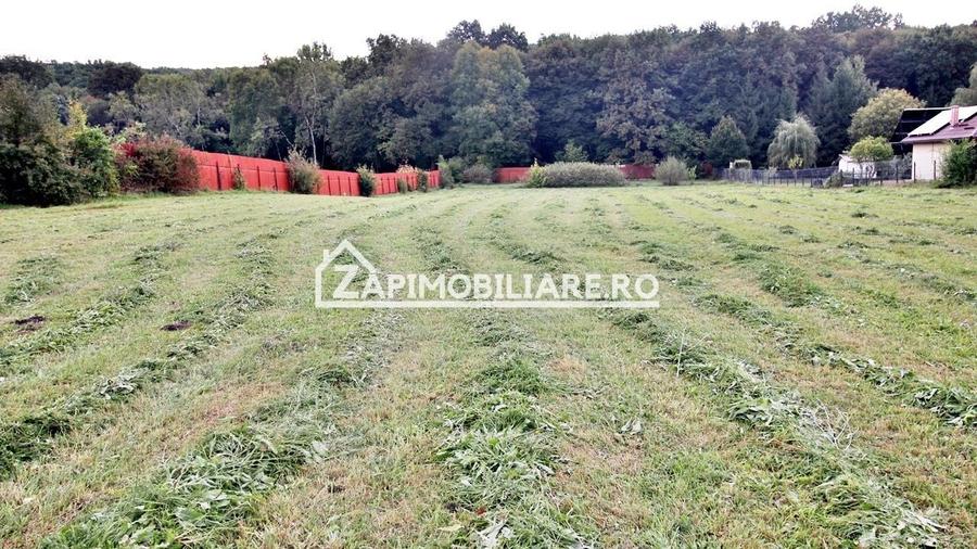 Teren Construcții intravilan de 5400 mp, în Corunca