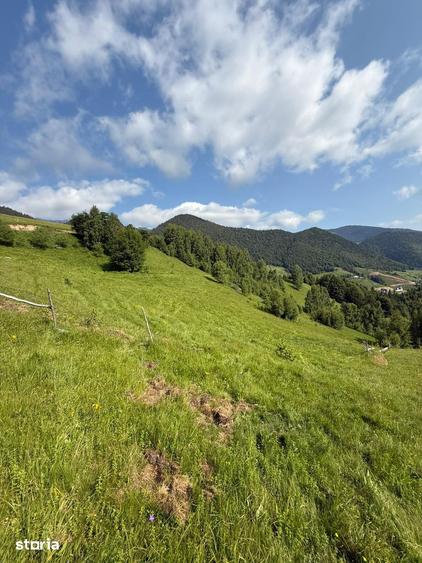 Teren de 11908 mp, în Moieciu