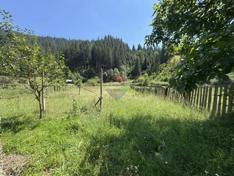 Teren Construcții intravilan de 1342 mp, în Borca