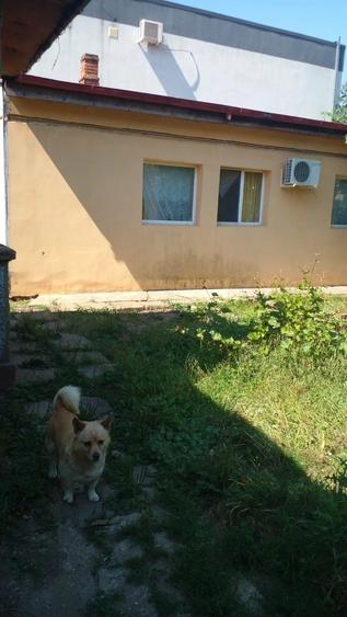 Casă cu 2 camere cu Teren 539 Mp în Central
