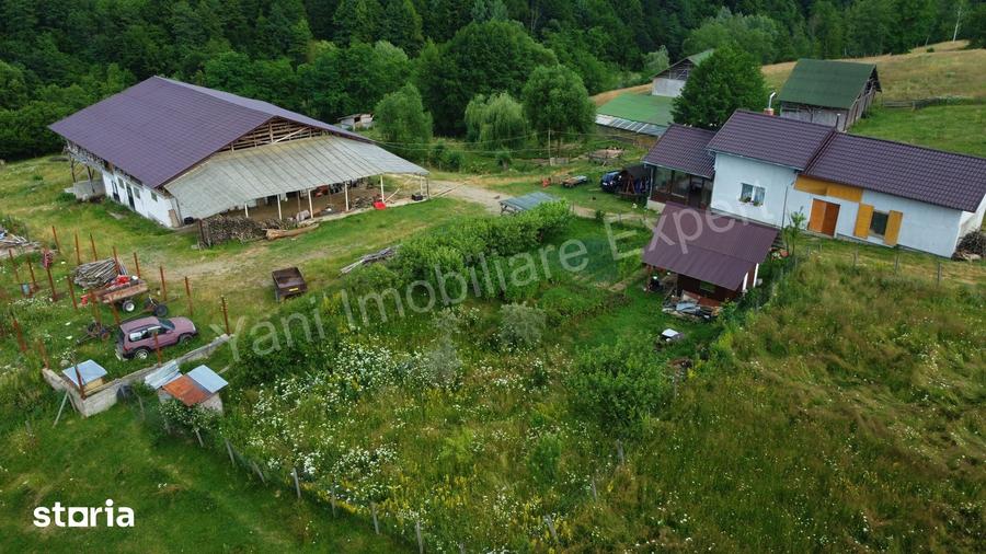 Teren de 55422 mp, în Bughea de Jos
