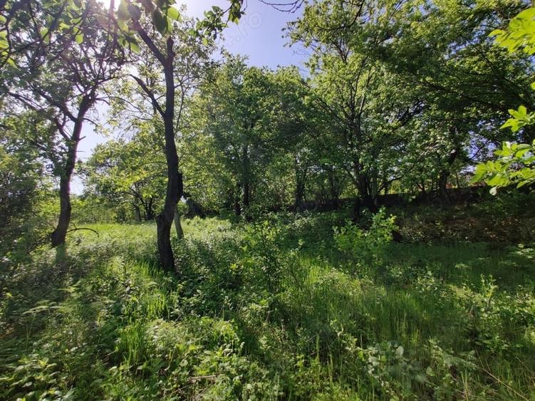 Teren de 1400 mp, în Dezmir