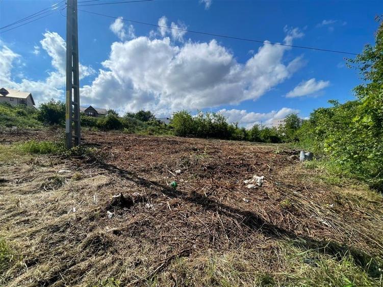Teren Construcții intravilan de 707 mp, în Vișan
