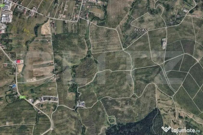 Teren de 2500 mp, în Becaș