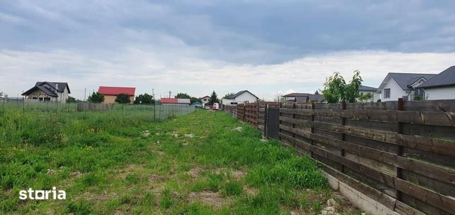 1000 mp intravilan Teren langa padure Samurcasi (langa Buftea) - 4