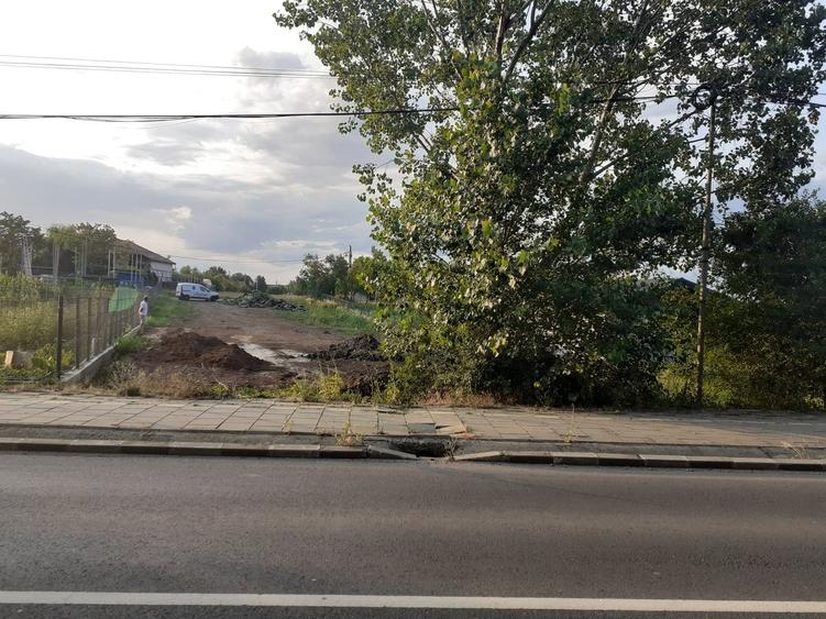 Snagov, Vladiceasca, padure - 1