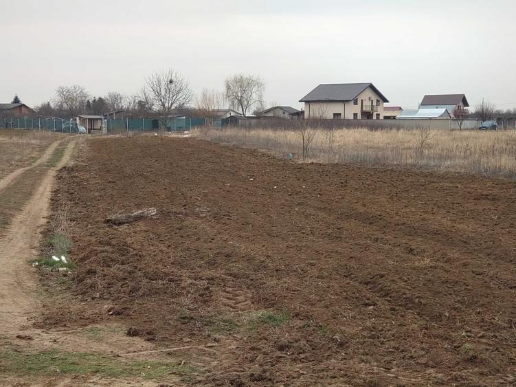 Teren de 1290 mp, în Măgurele