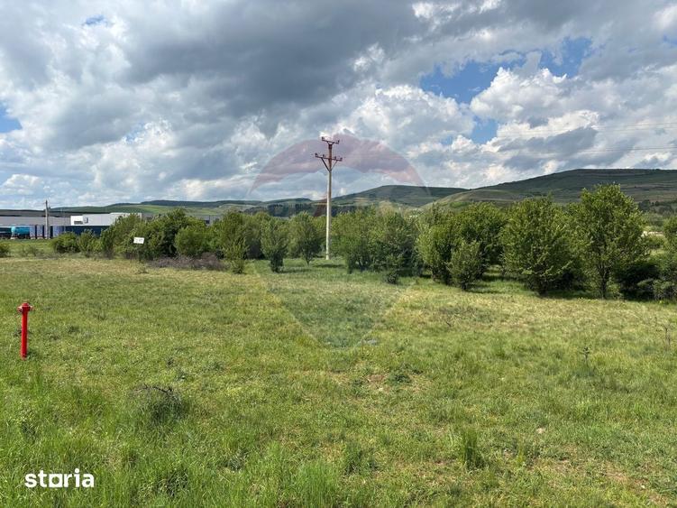 Teren de vanzare 13783mp, front la DN, parcela unica zona de vest - 7