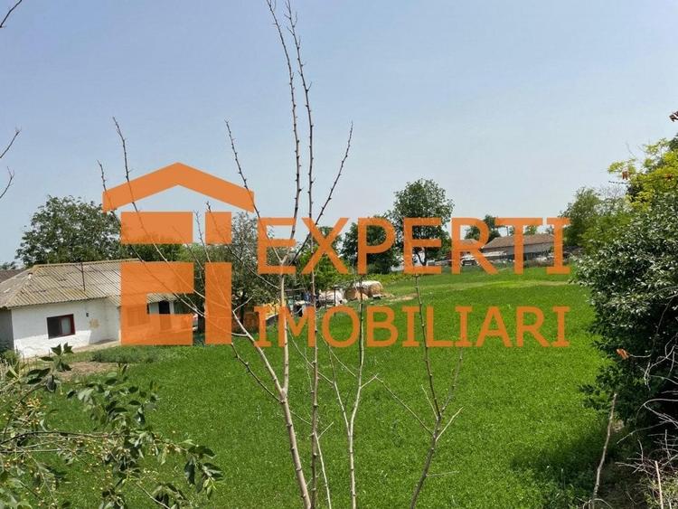 Teren Construcții intravilan de 2581 mp, în Mihail Kogălniceanu