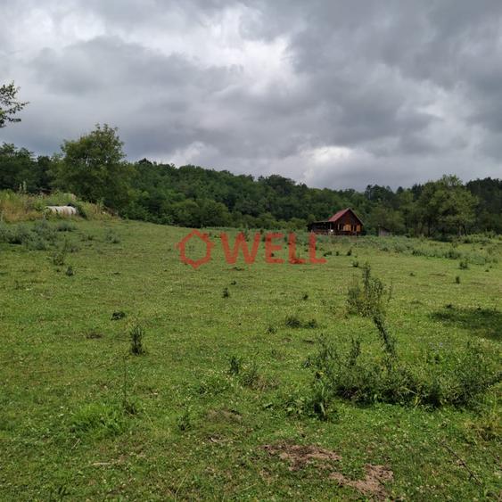 Teren Construcții intravilan de 2526 mp, în Bezidu Nou