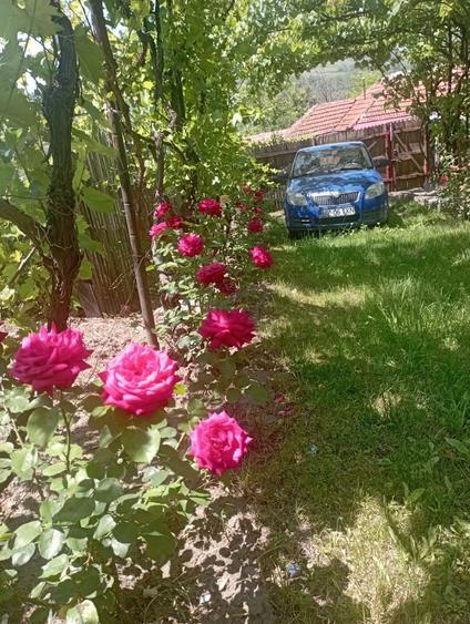 Casă cu 4 camere în Policiori