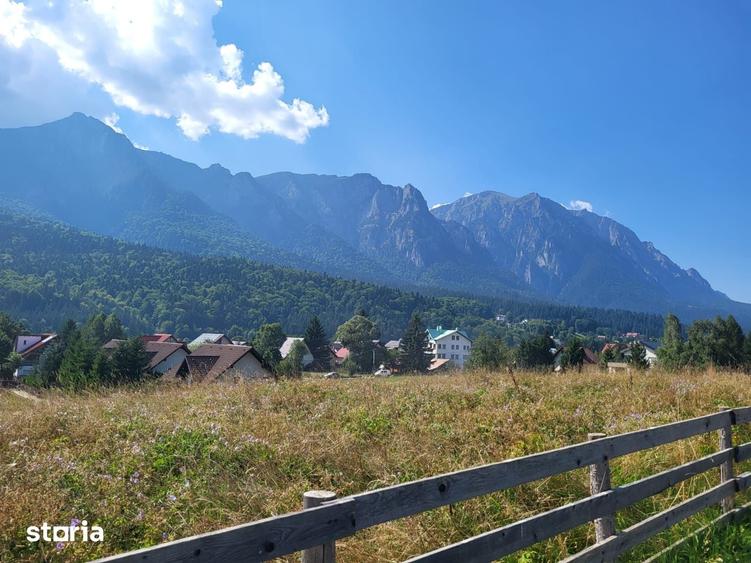 Casă cu Teren 1350 Mp în Poiana Țapului