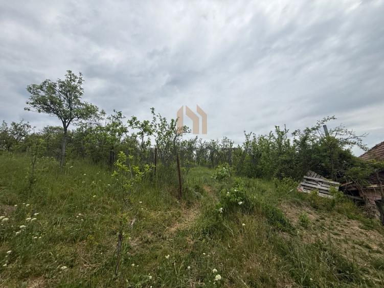 Teren Construcții intravilan de 1699 mp, în Dâmbul Rotund