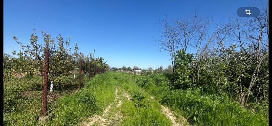 Teren de 4400 mp, în Grădinari