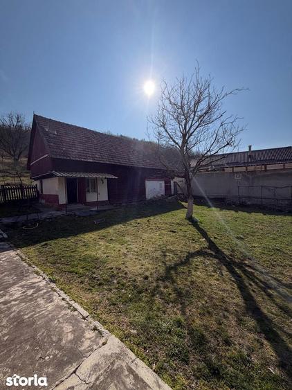 Comision 0% I Casa individuala I Teren de 3252 mp I Arghis - 8