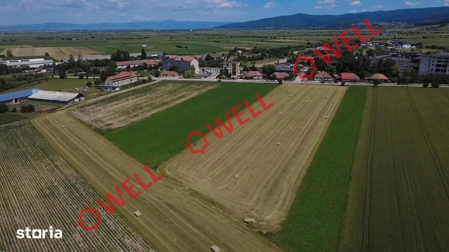Teren de 10300 mp, în Central