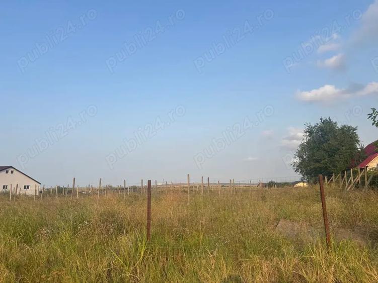 Teren de 5000 mp, în Mineri