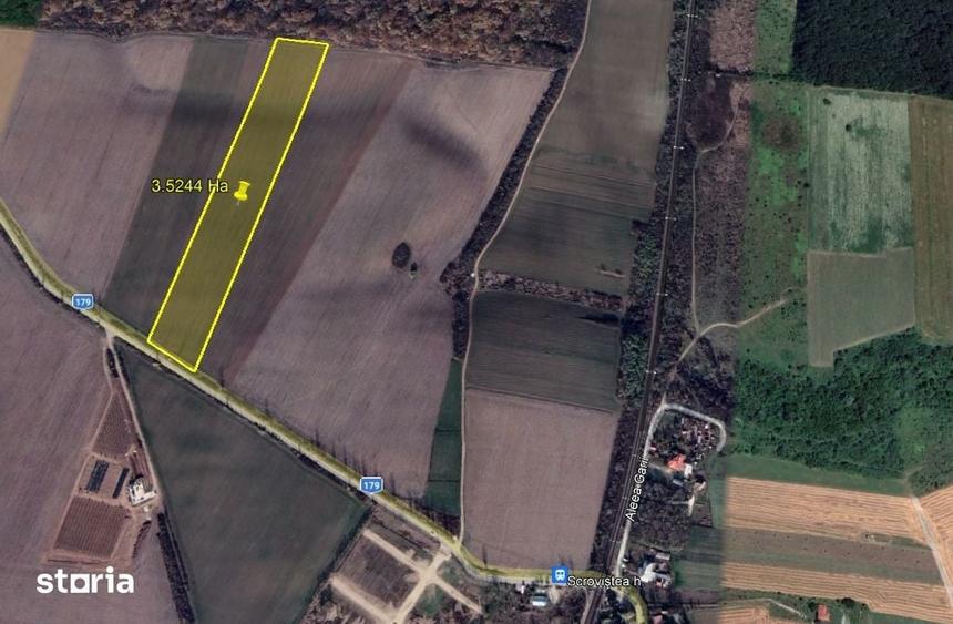 Vand teren intravilan Balteni Ilfov/ Peris/ Scrovistea - 2