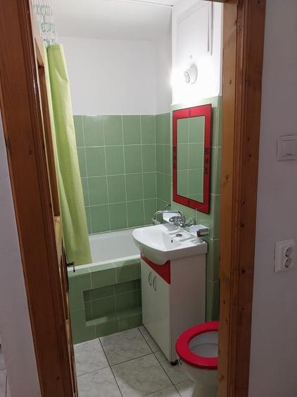 Garsonieră decomandată în Valea Rosie