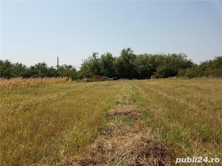 Teren de 1800 mp, în Letca Nouă