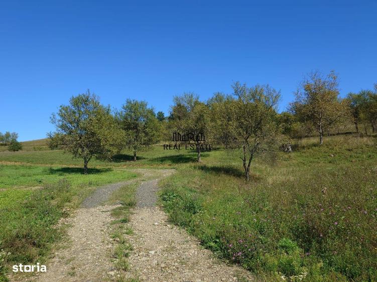Teren de 8757 mp, în Luncoiu de Jos