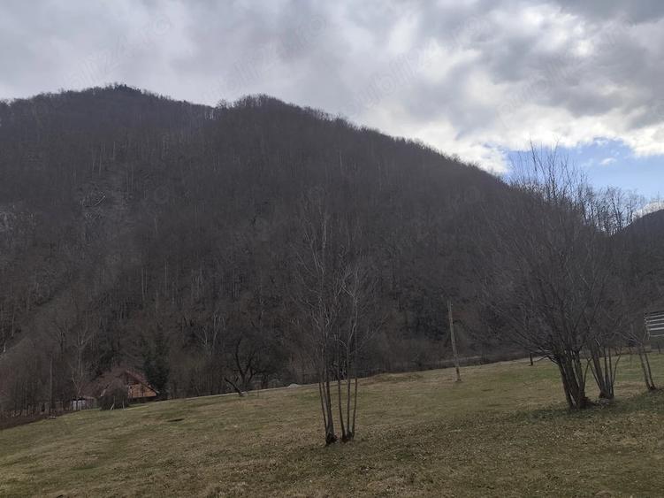 Teren de 1795 mp, în Remeți