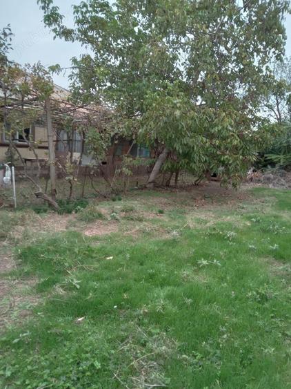 Teren de 1300 mp, în Drăgănescu