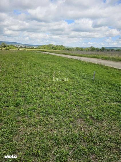 Teren agricol de vanzare, 400mp, ?elimbar