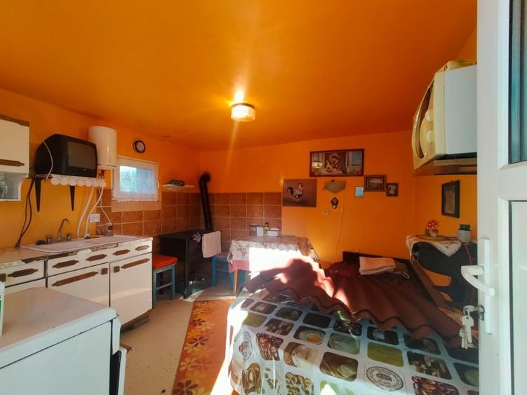 Casă individuală cu 2 camere cu Teren 2980 Mp în Panticeu