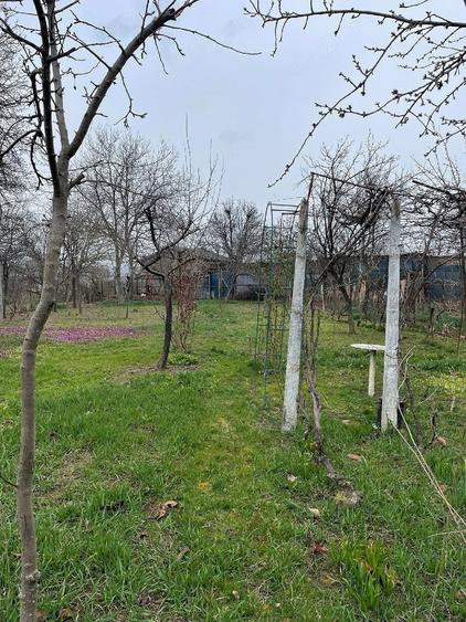 Casă cu Teren 1200 Mp în Blejoi