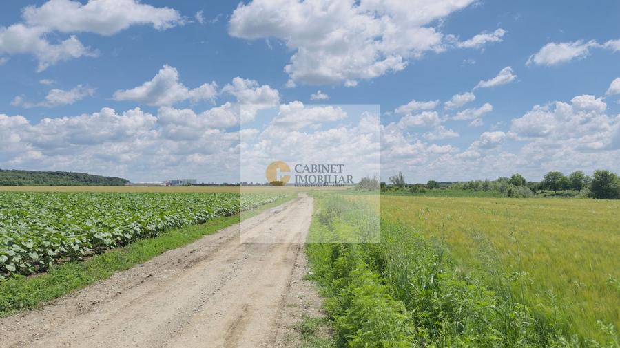 Teren agricol extravilan de 12760 mp, în Afumați