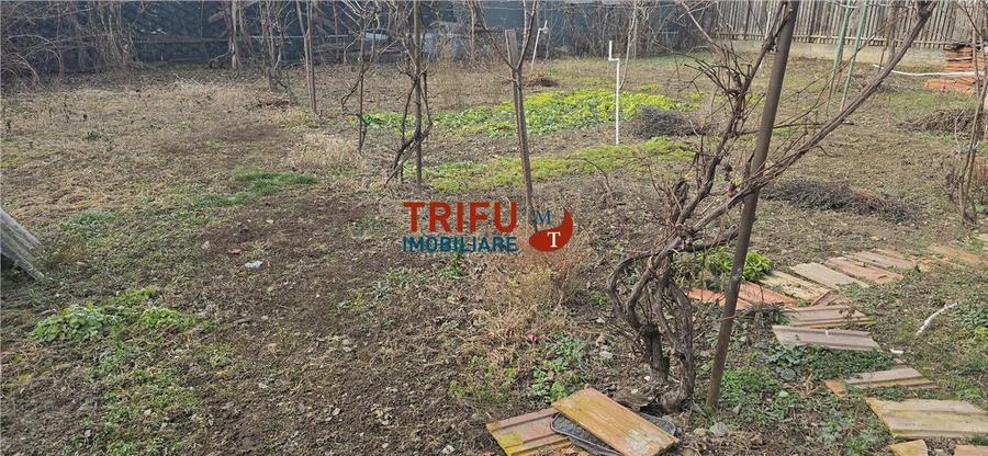 Casa de vanzare in Barabant cu anexe 765mp teren - 11