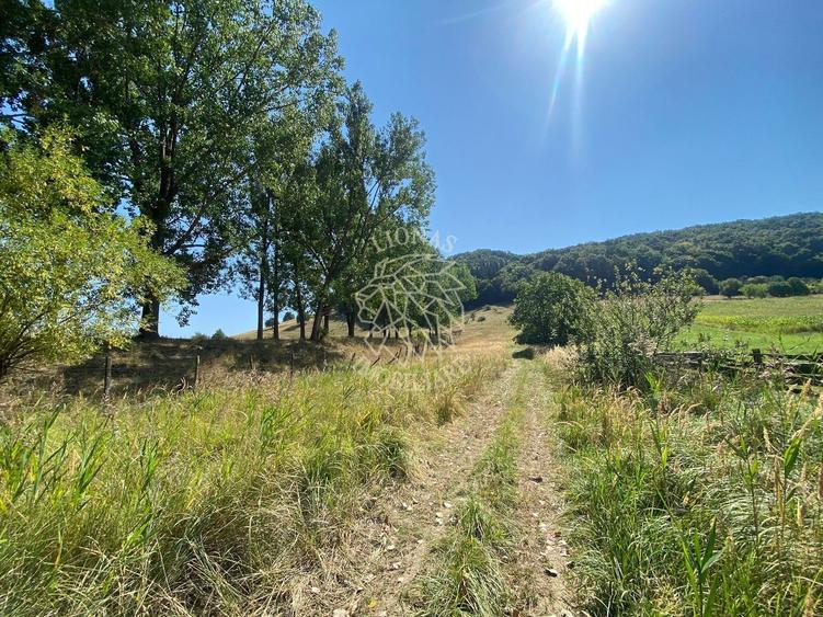 Teren Construcții intravilan de 2600 mp, în Nord