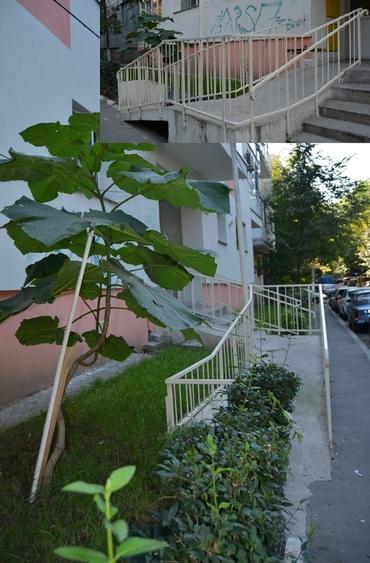 Apartament cu 2 camere decomandat în Lacul Tei