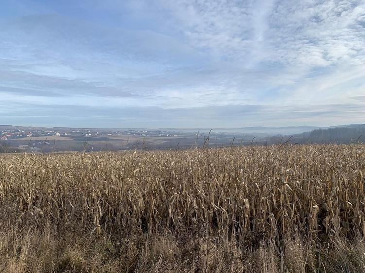 Teren Construcții intravilan de 7800 mp, în Est