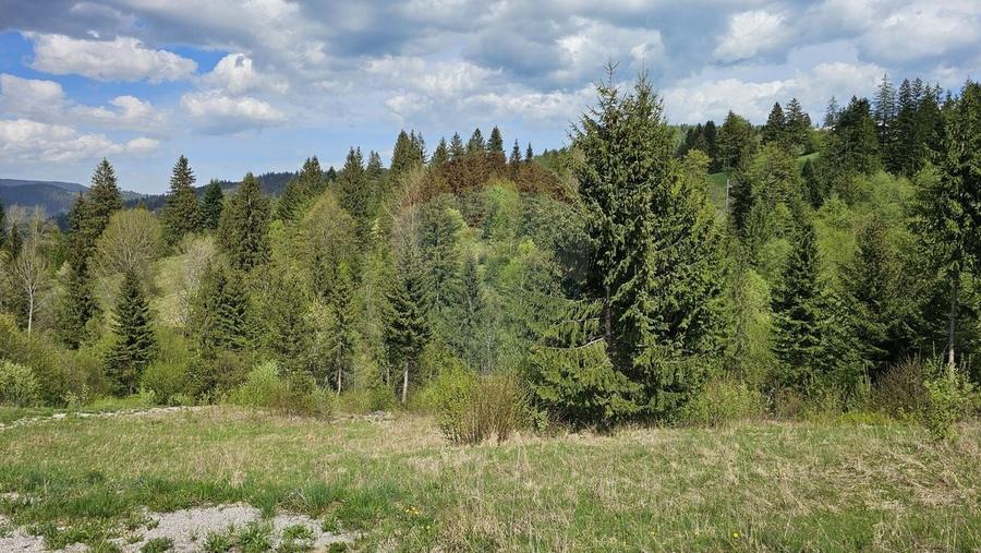 Teren agricol intravilan de 4048 mp, în Periferie