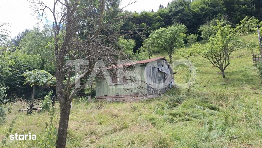 Teren de 2500 mp, în Poplaca