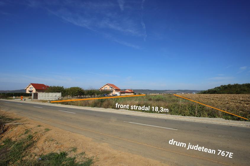 Teren Construcții intravilan de 6938 mp, în Alparea