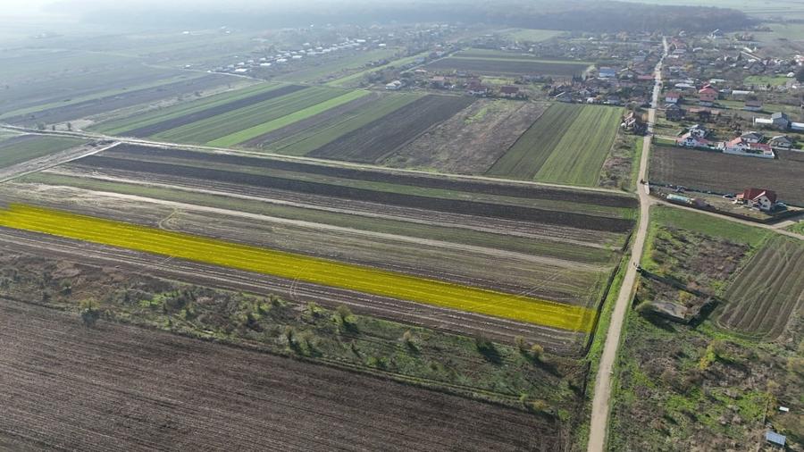 Teren Construcții intravilan de 10000 mp, în Gulia