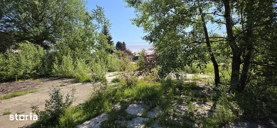 Teren intravila 40.679 mp in Campina, dezvoltare imobiliara - 4