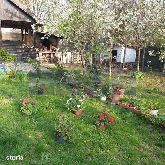 Casă cu 5 camere cu Teren 287 Mp în Sălăjan