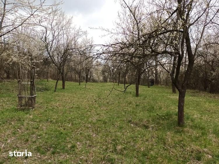 Teren de 10600 mp, în Dăești