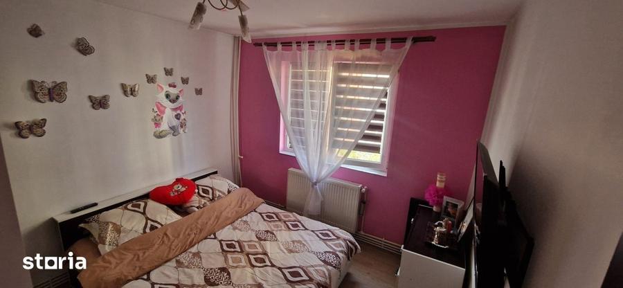 Apartament cu 3 camere în Craiovița Nouă
