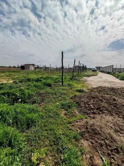 Teren de 580 mp, în Săftica
