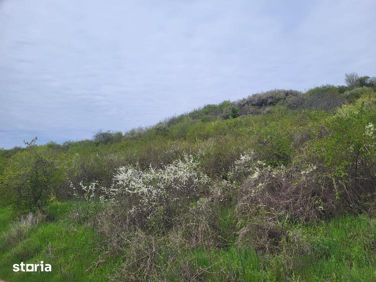 Vanzare teren 35.000mp Stefanesti -Arges-Comision 0% - 1