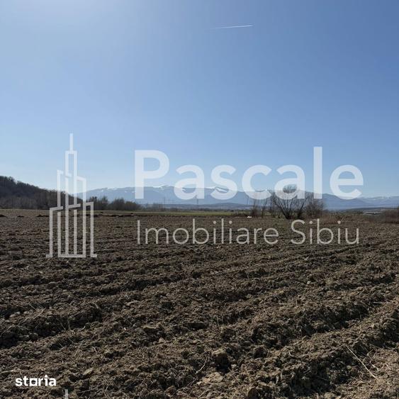 Teren de 5500 mp, în Șelimbăr